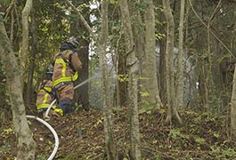 写真：恵那市消防本部及び豊田森林組合と連携した林野火災訓練