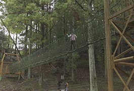 写真：アスレチック開放月間