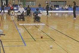 写真：第27回日本ボッチャ選手権大会