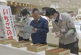 写真：豊田市農林畜産物品評会「いちごの部」