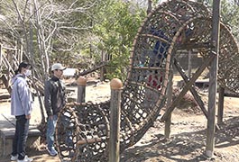 写真：総合野外センター「アスレチック開放月間」