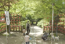 写真：香嵐渓のゴールデンウィーク