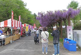 写真：ふじまつり2026