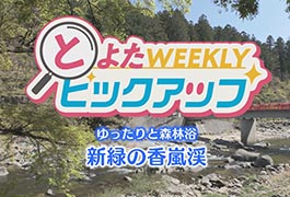 写真：新緑の香嵐渓