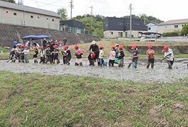 写真：小原中部小学校の全校児童が田植え