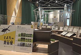 写真：とよたの昆虫展