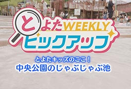 写真:とよたキッズのここ! 中央公園のじゃぶじゃぶ池